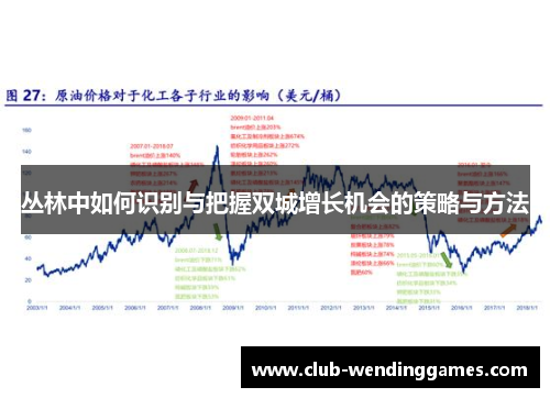 丛林中如何识别与把握双城增长机会的策略与方法