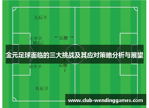 金元足球面临的三大挑战及其应对策略分析与展望