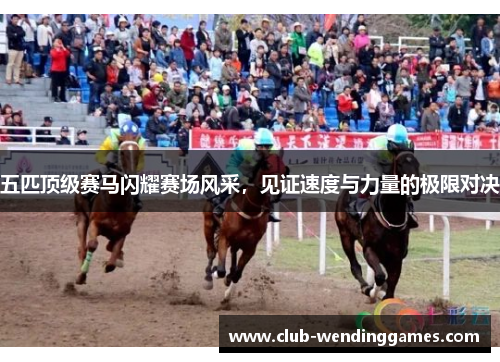 五匹顶级赛马闪耀赛场风采，见证速度与力量的极限对决