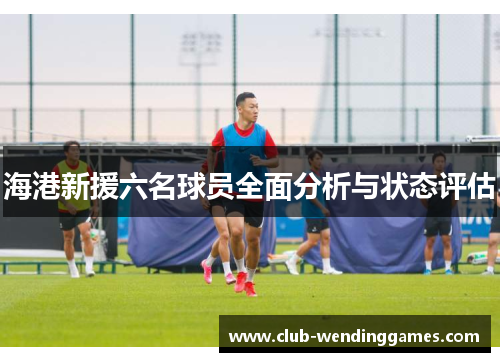 海港新援六名球员全面分析与状态评估