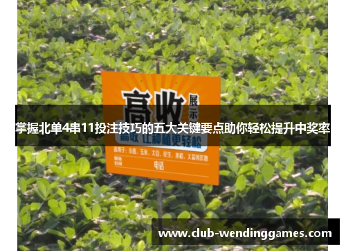 掌握北单4串11投注技巧的五大关键要点助你轻松提升中奖率