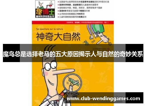 魔鸟总是选择老马的五大原因揭示人与自然的奇妙关系
