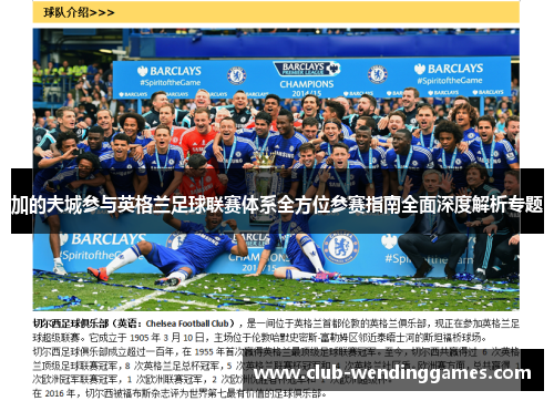 加的夫城参与英格兰足球联赛体系全方位参赛指南全面深度解析专题 加的夫城参与英格兰足球联赛体系全方位参赛指南全面深度解析专题
