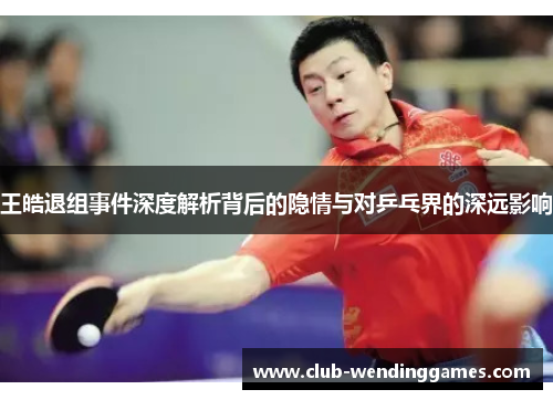 王皓退组事件深度解析背后的隐情与对乒乓界的深远影响